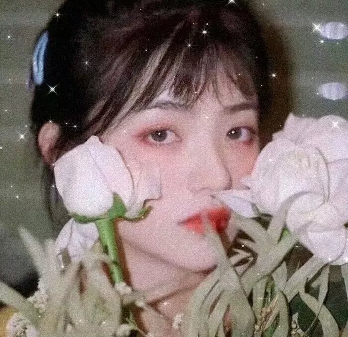 安妮回忆录